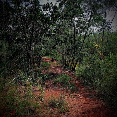 Jalan Menuju Makam Desa