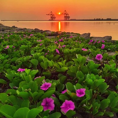 Pantai PLTU Tuban
