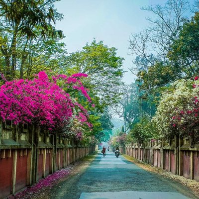 Spring has come in my city 💕🔥❤️