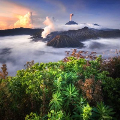 Bromo's Majesty