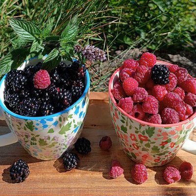 The season fruits