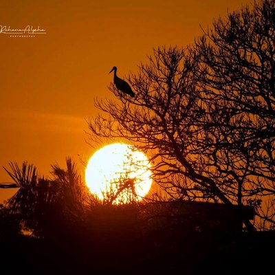 sunrise...💛