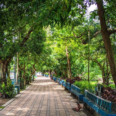 Streetwalk With Green's 