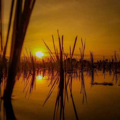 teknik refleksi ( pantulan )