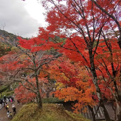 Kyoto