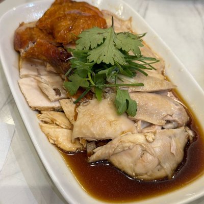 Ayam Hainam