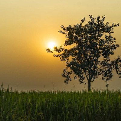 A mesmerizing sunset was captured.