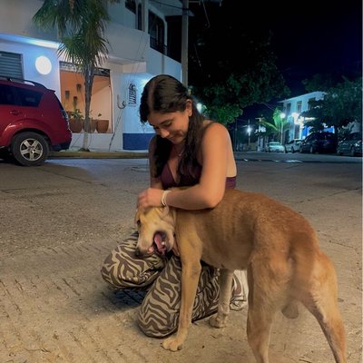 doggie