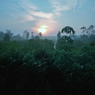 Sunrise