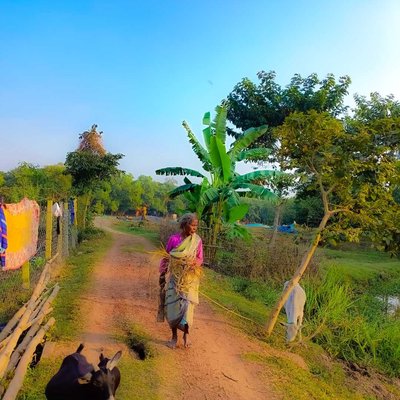 Rural life 🌻