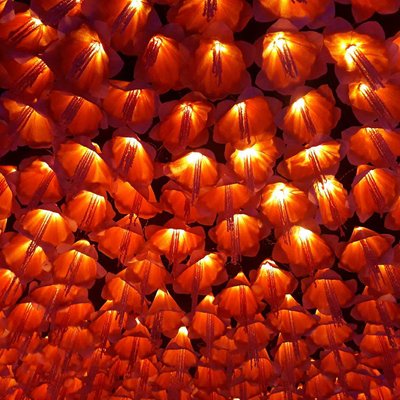 Lighting | Durga Puja 💡🪔