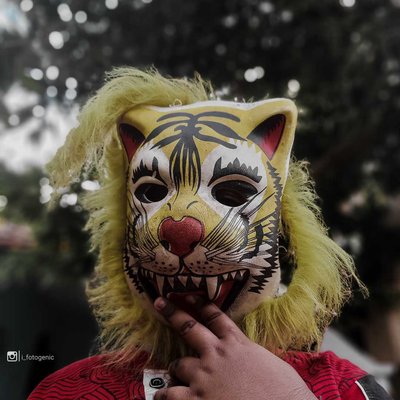 🐯 TiGER BoY
