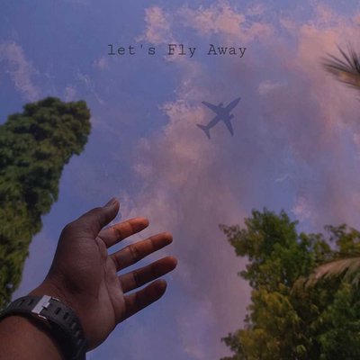 let's fly away