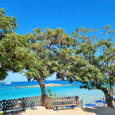 Fig Tree Bay💙🩵