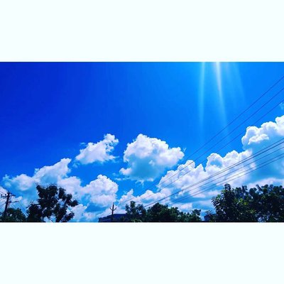 Nature 