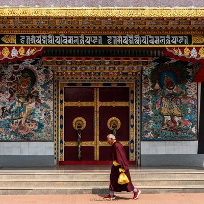 Walking Monk