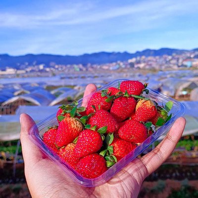 strawberries 🍓