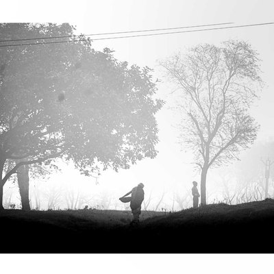 BNW