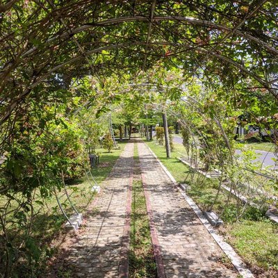 Jalan