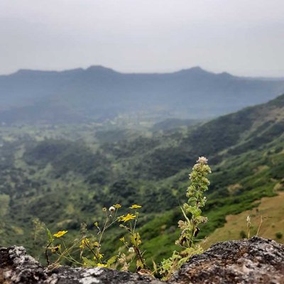 Sinhagad Fort🍂💫