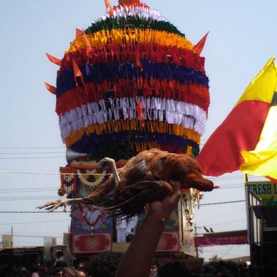 Sirsi Fair