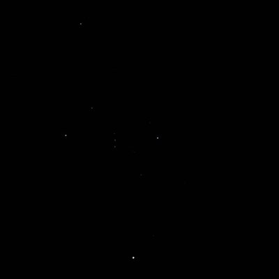 estrellas en ramaviva, pinar del río 