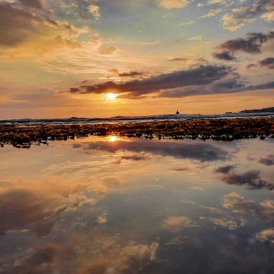 REFLEKSI