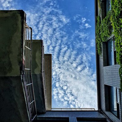 blue skies