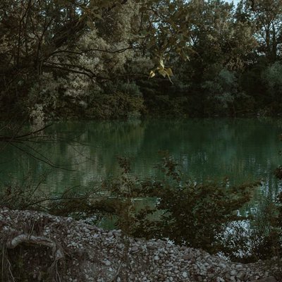 IN LOVE WITH GREEN