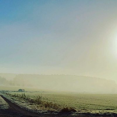 Morning Fog 