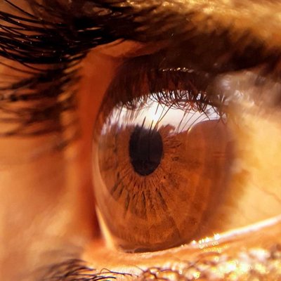 Macrophotography 