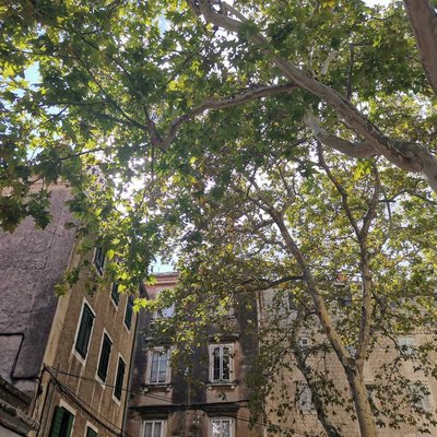 Split, Old Town Street