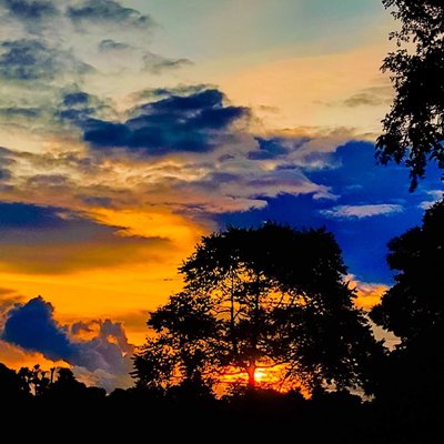 Nature photography