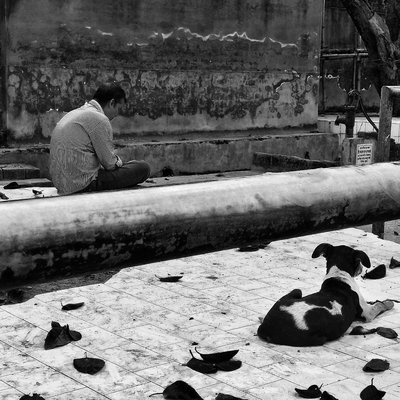 Monochrome