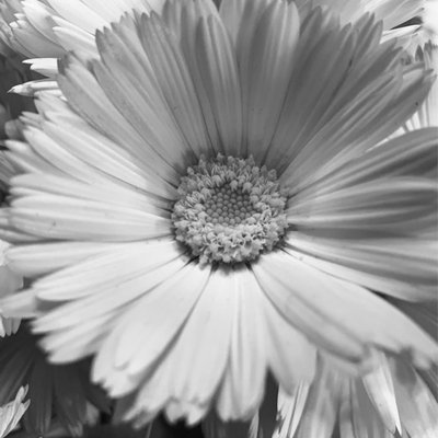 small details of life