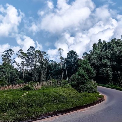 tikungan jalan desa