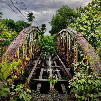Jembatan Tua Sungai Wairkoja