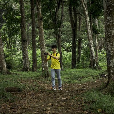 Pergi ke Hutan