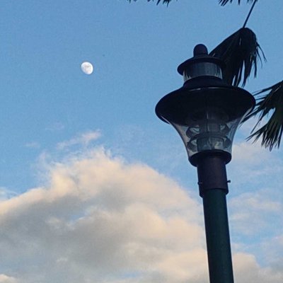 MOON