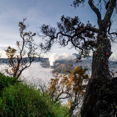 gunung bromo