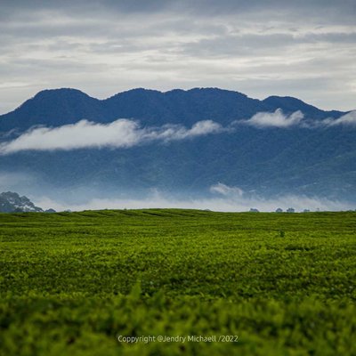 Menikmati Dinginnya pagi