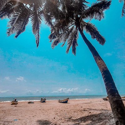 Beach view 