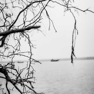 In the mood for the ocean 