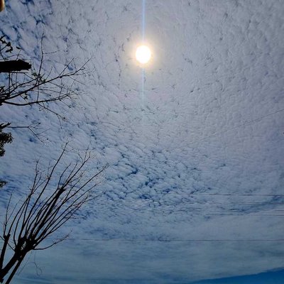 Altocumulus clouds