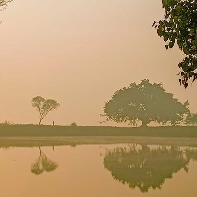 Morning Mist