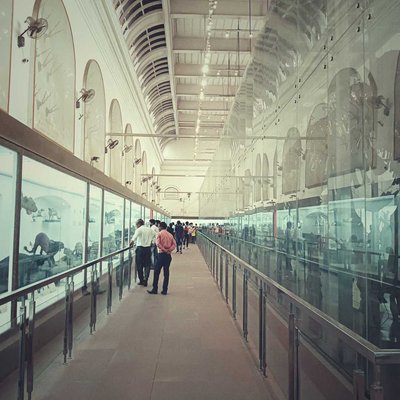 The Indian Museum 