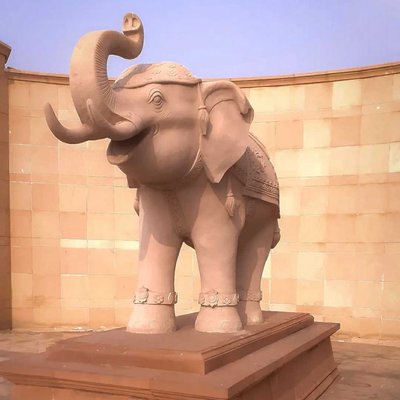 Baby elephant