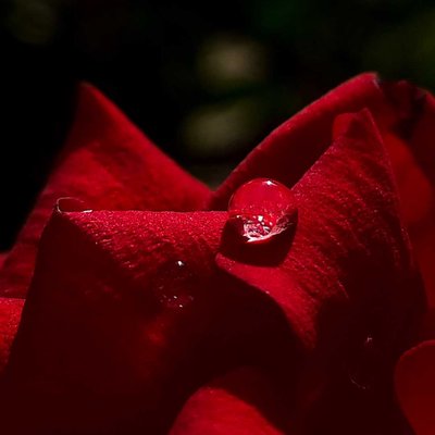 mobile photography 