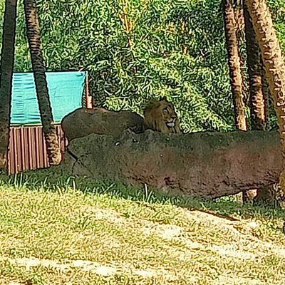 Beautiful Nehru Zoological Park 