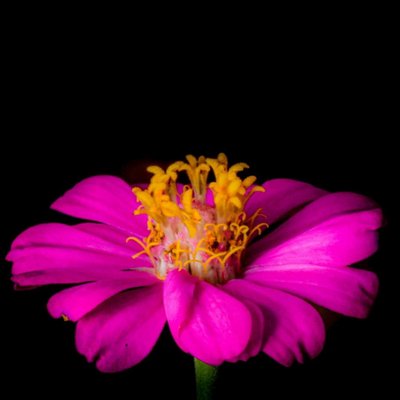 Beautiful color
